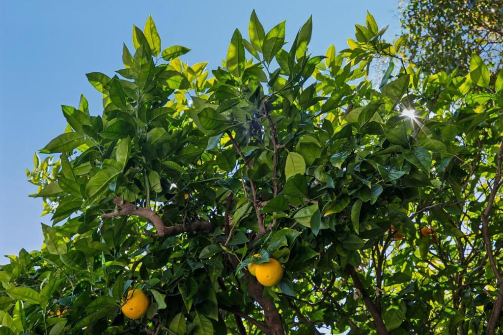 main property photo 57