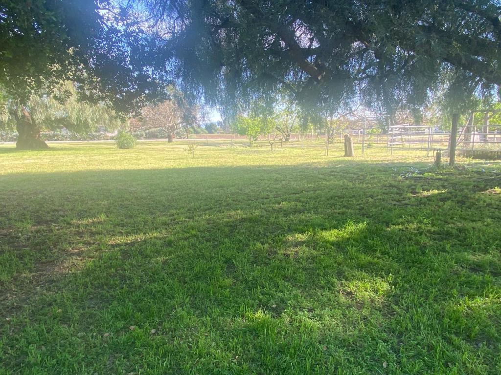 main property photo 40