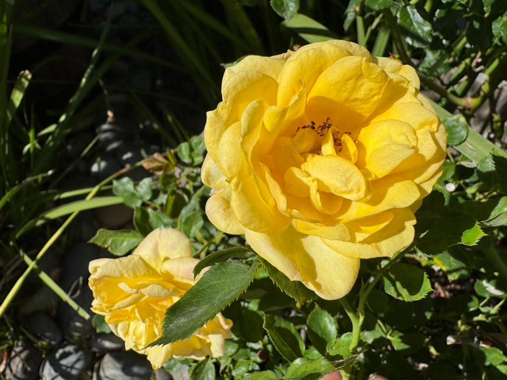 main property photo 46