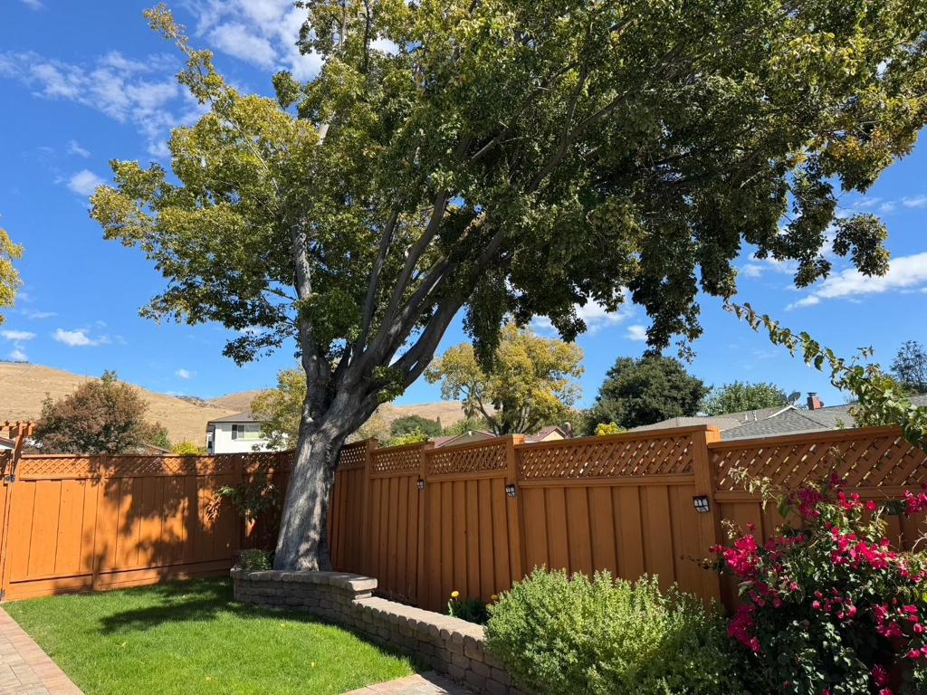 main property photo 49