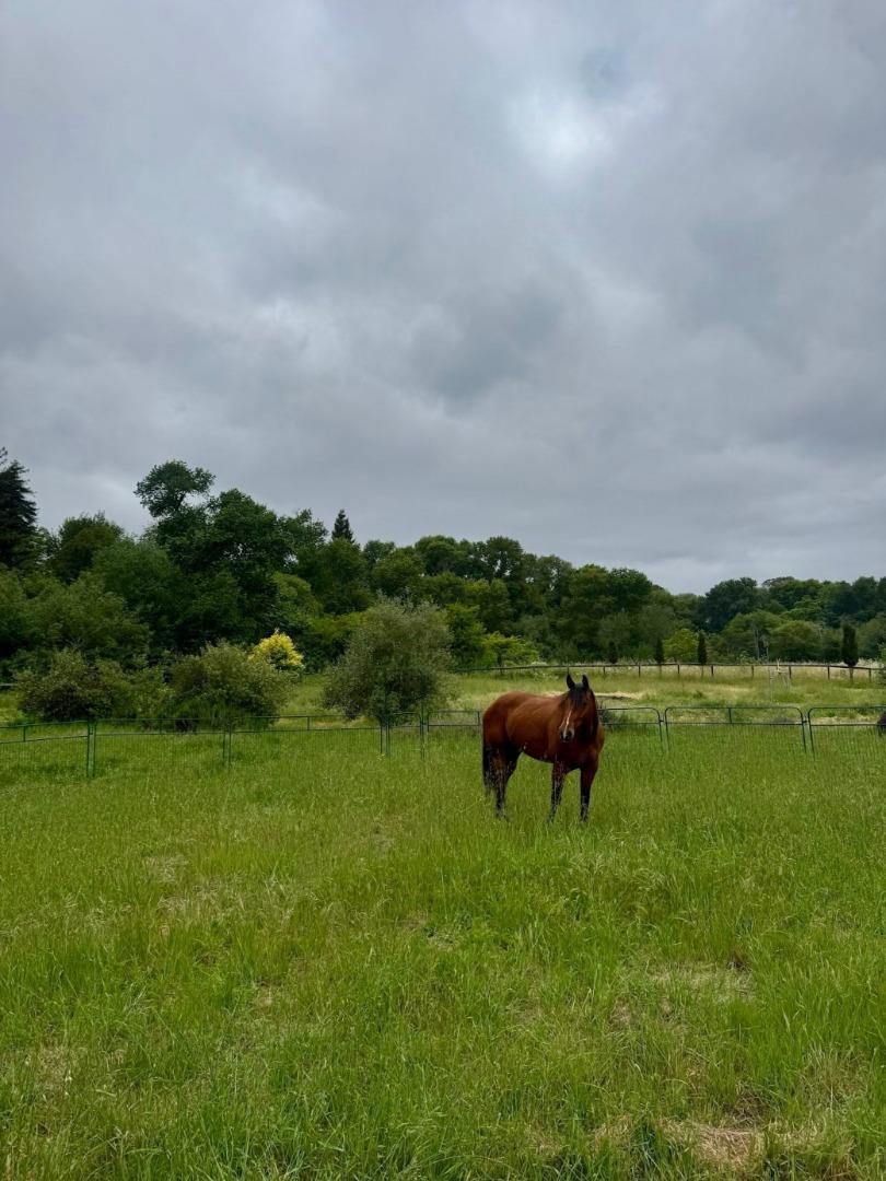 main property photo 102