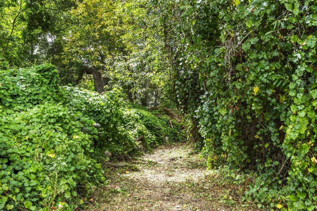 main property photo 105