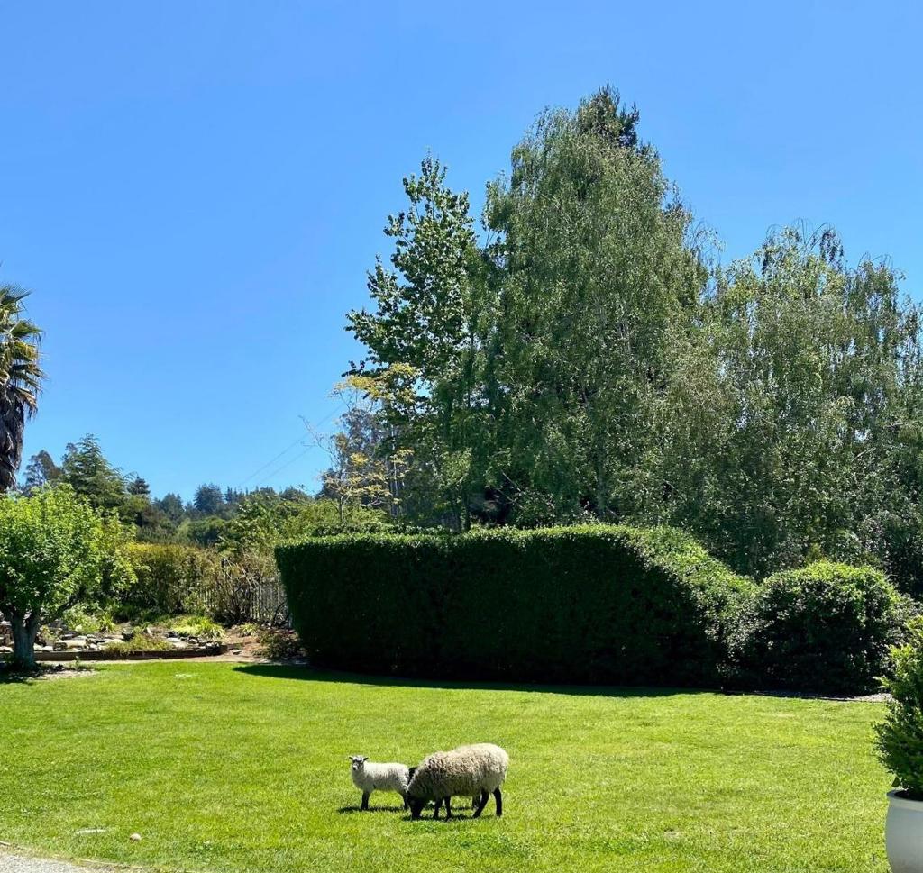 main property photo 93