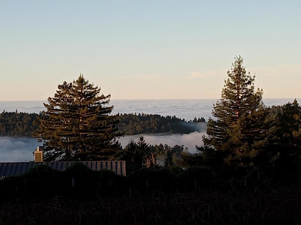 main property photo 25