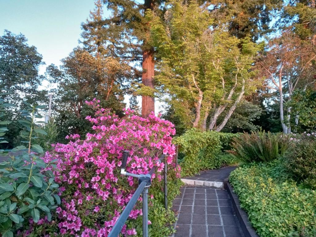 main property photo 28