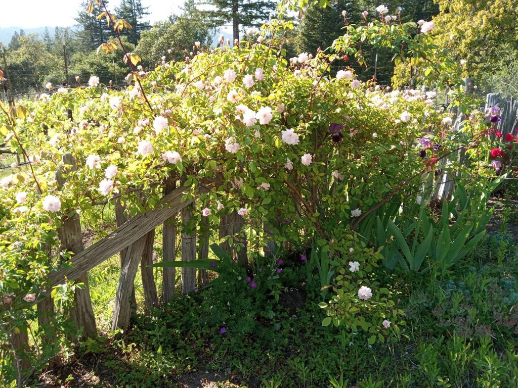 main property photo 31