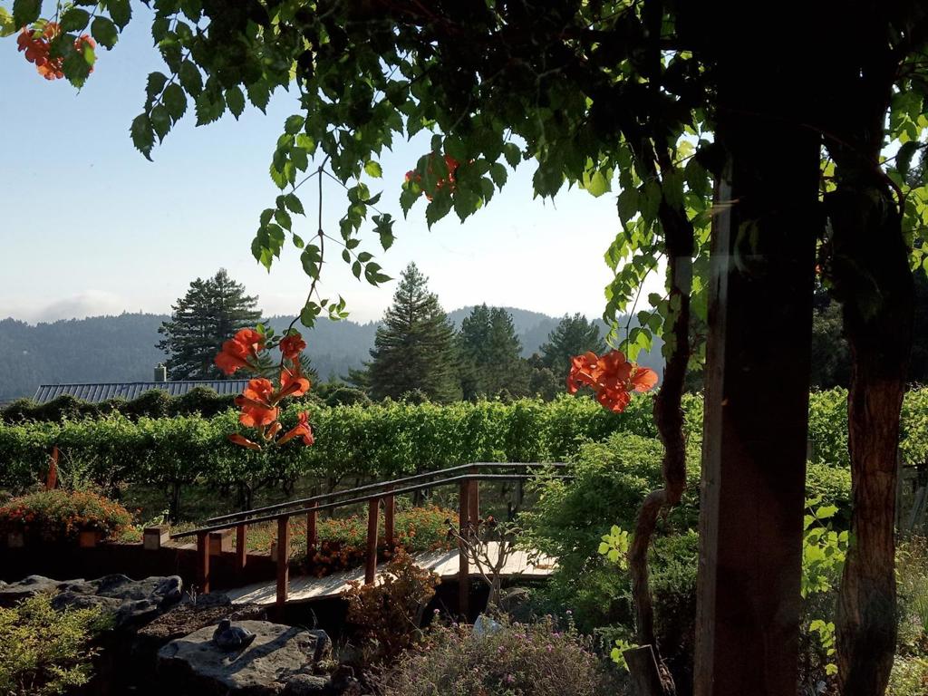 main property photo 36