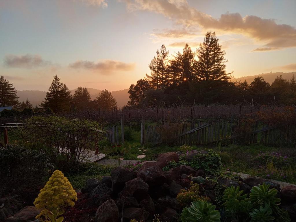 main property photo 46