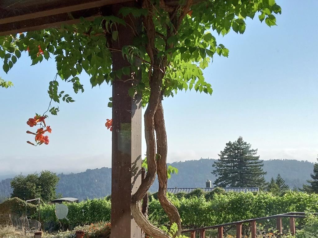 main property photo 50