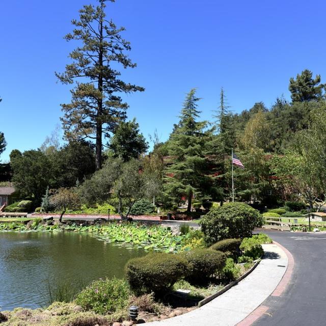 main property photo 92