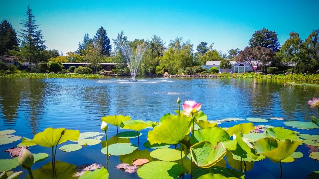 main property photo 99