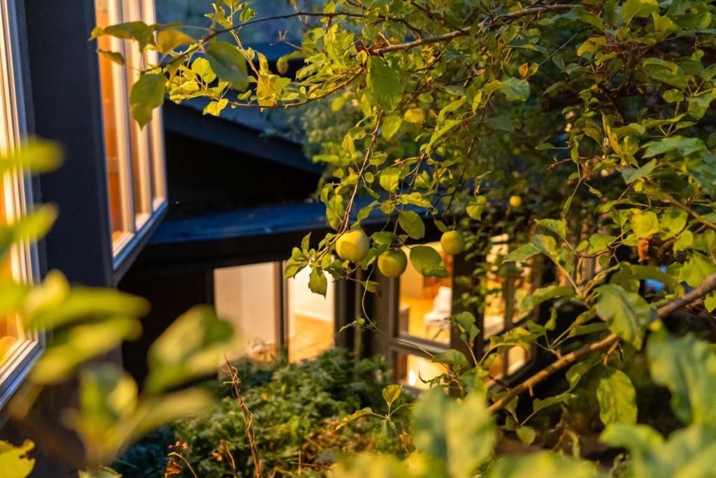 main property photo 62