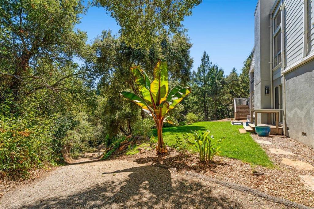 main property photo 65