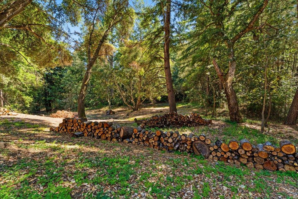 main property photo 69