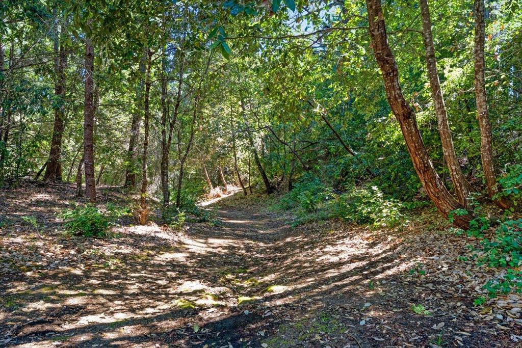 main property photo 72
