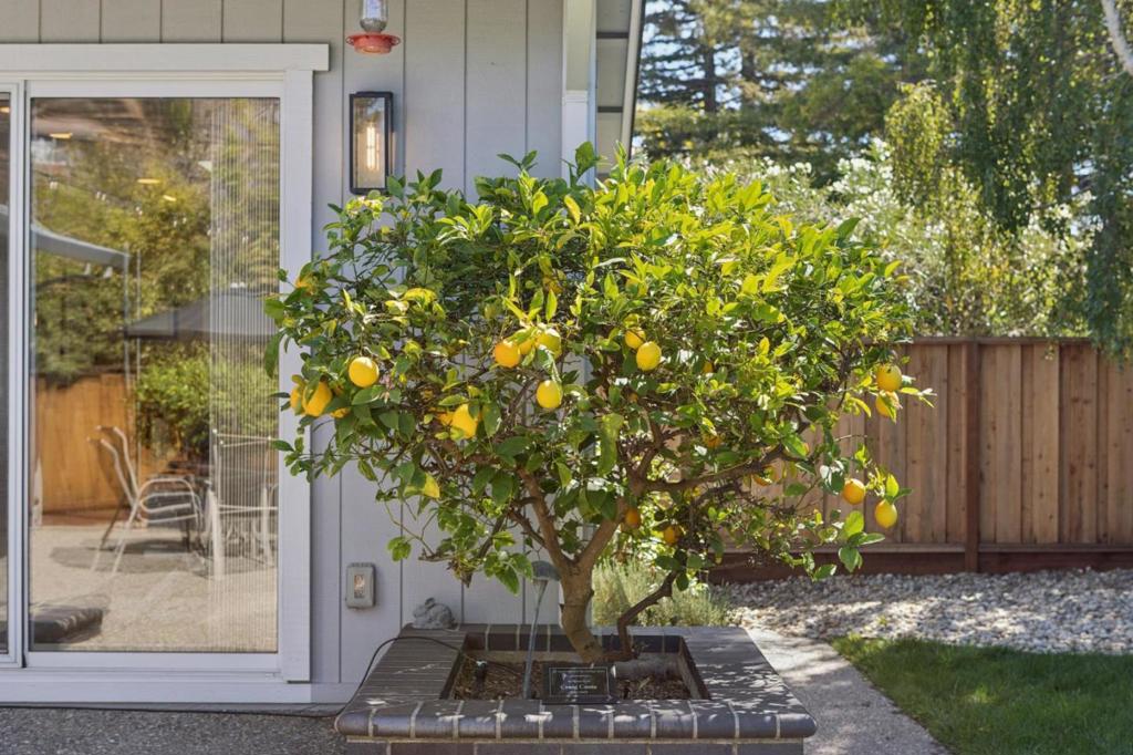 main property photo 81