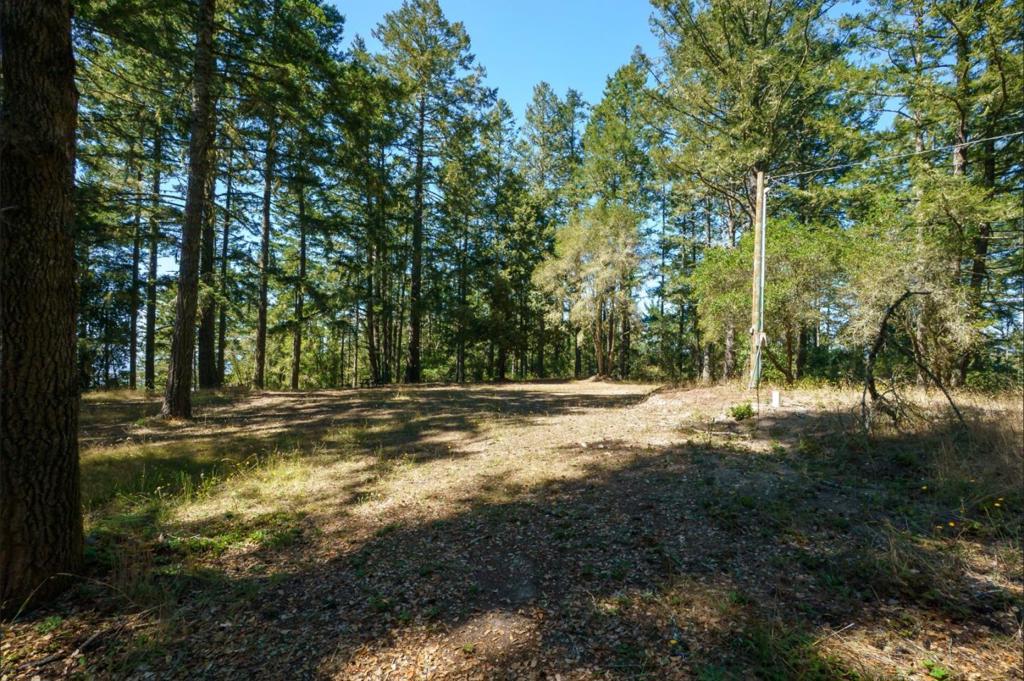 main property photo 89