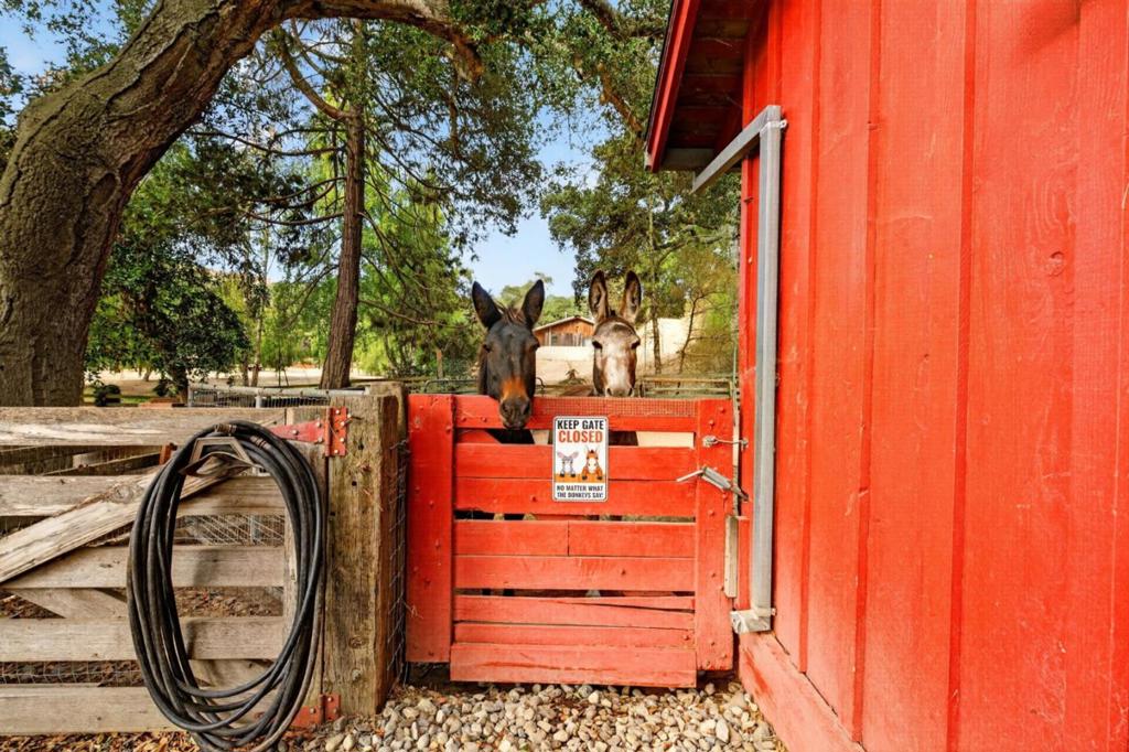 main property photo 64