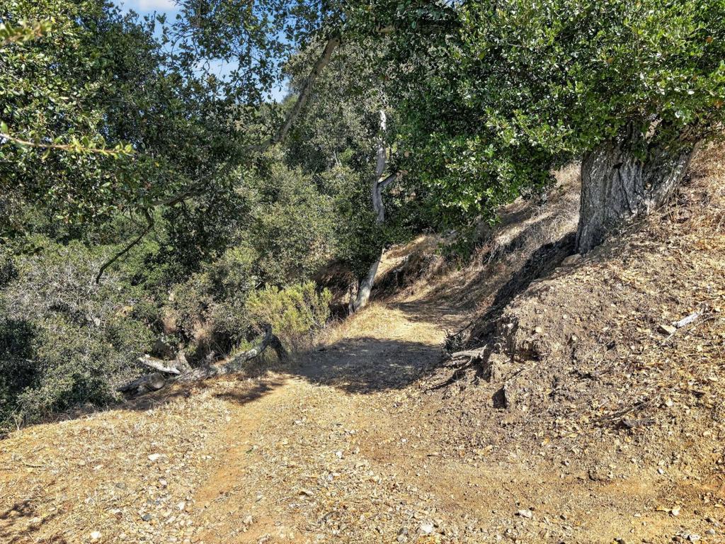 main property photo 77