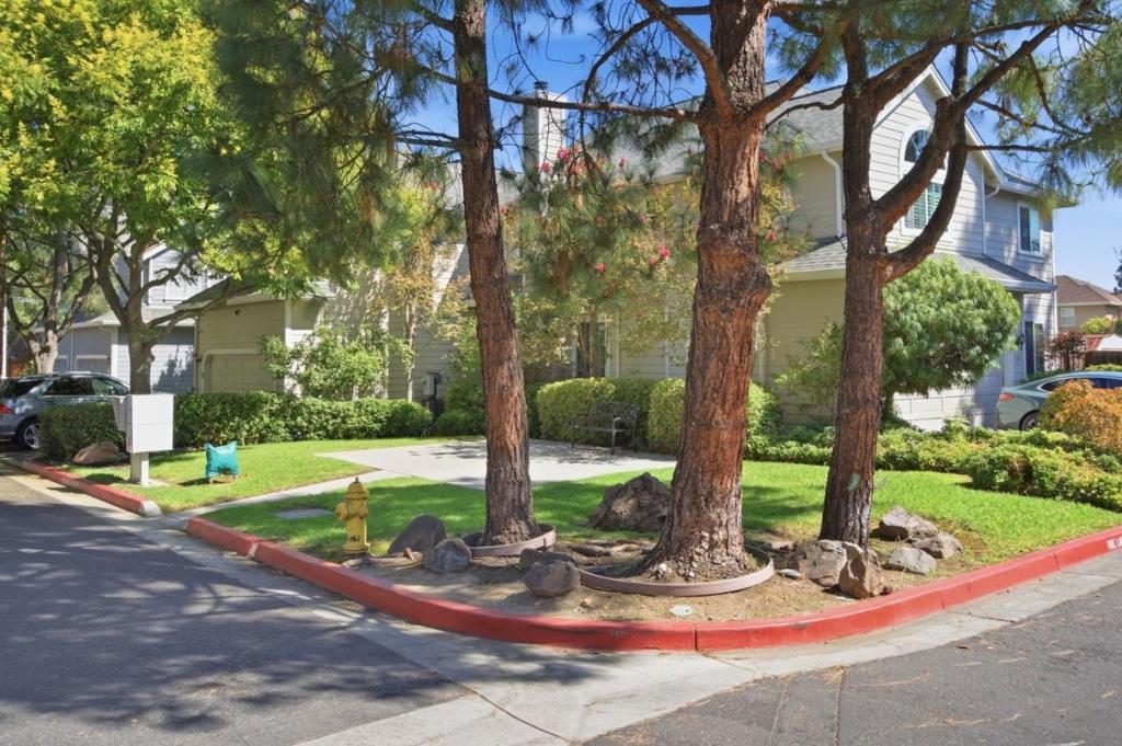 main property photo 58
