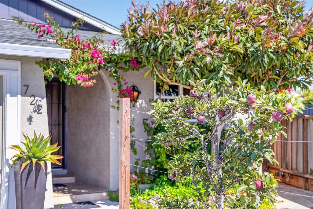 main property photo 52