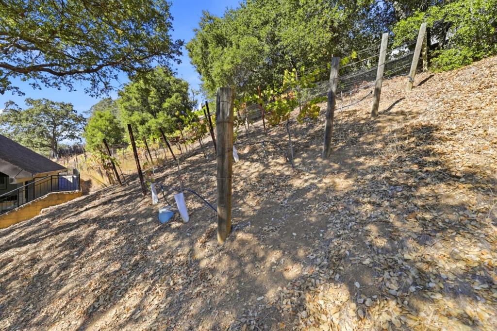 main property photo 72