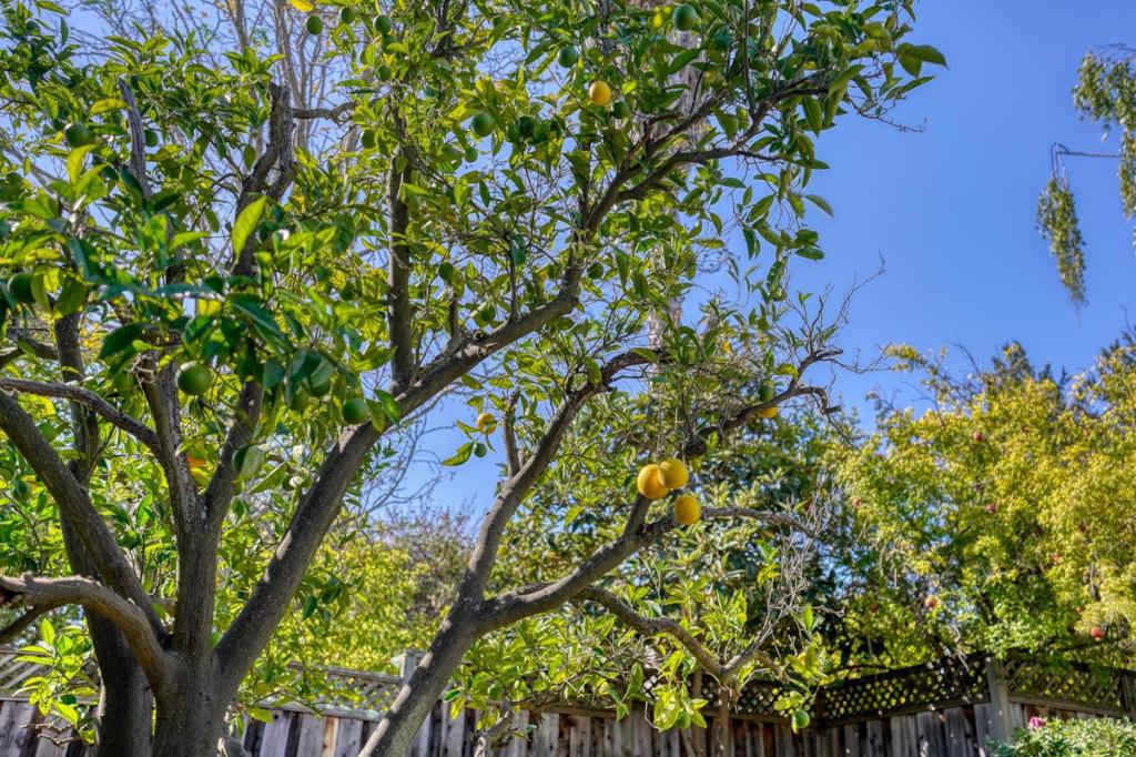 main property photo 96