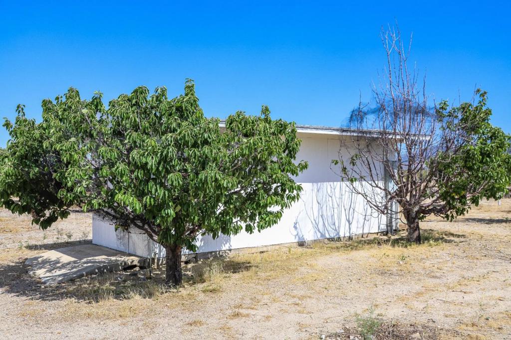 main property photo 43