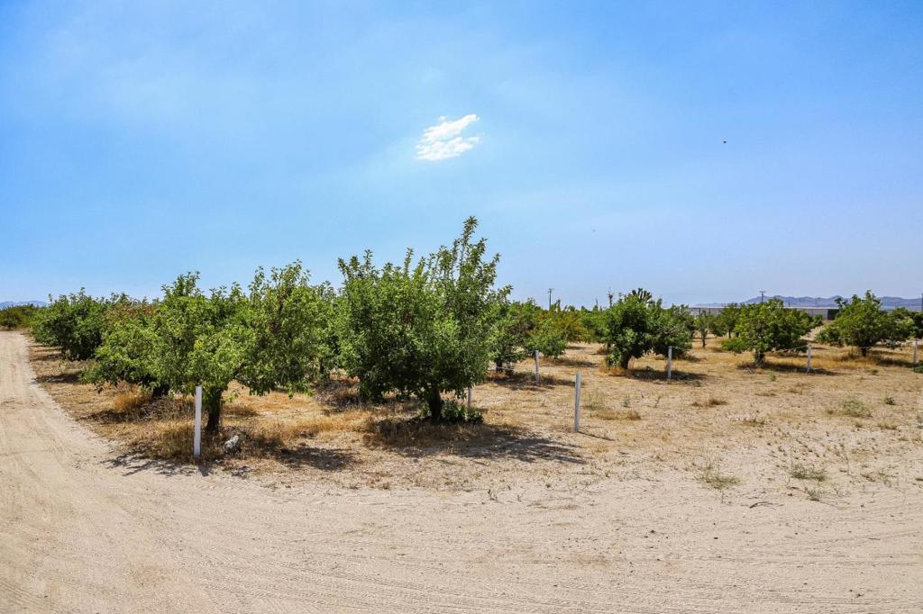 main property photo 47