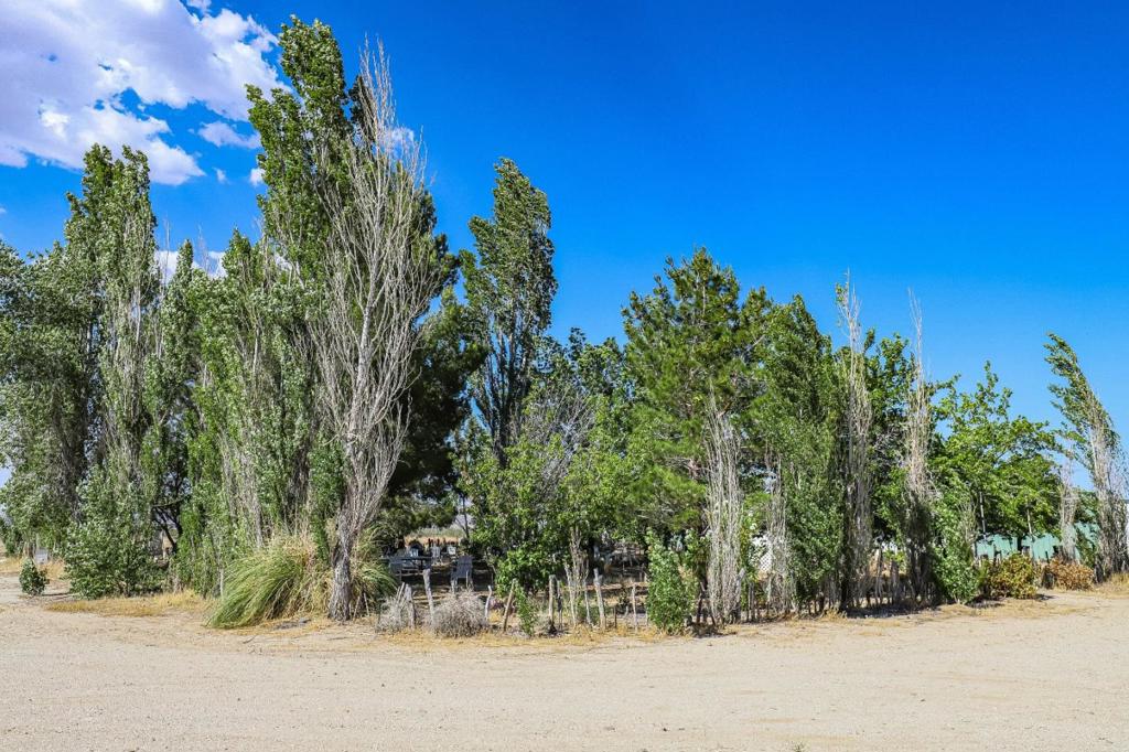 main property photo 62