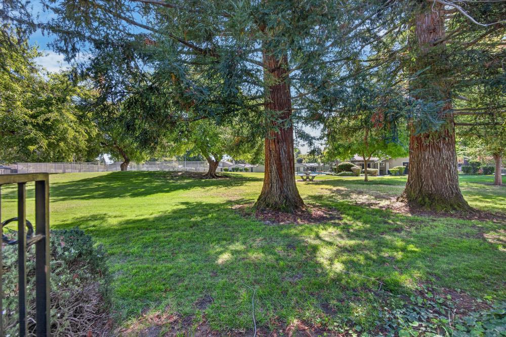 main property photo 63