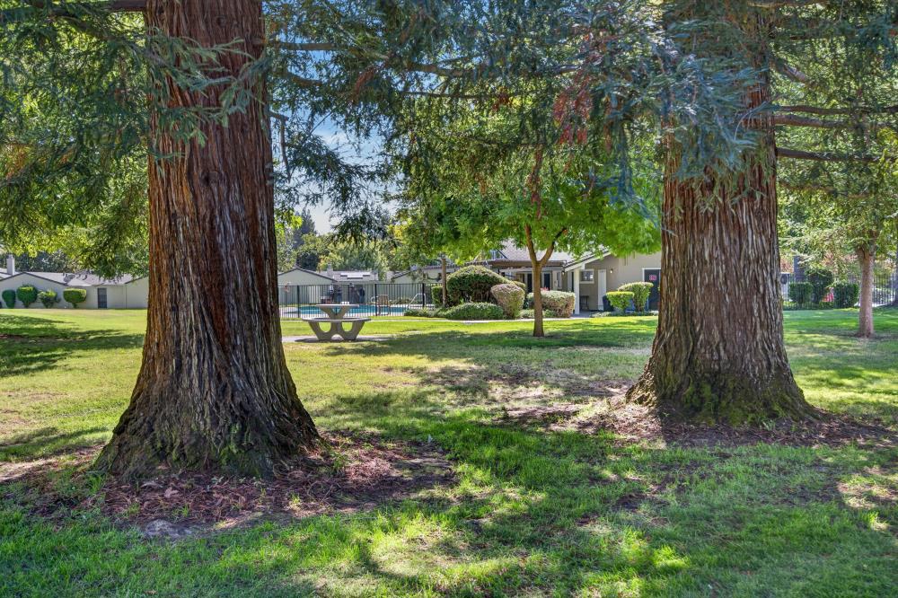 main property photo 64