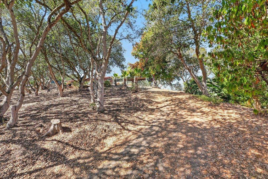main property photo 70