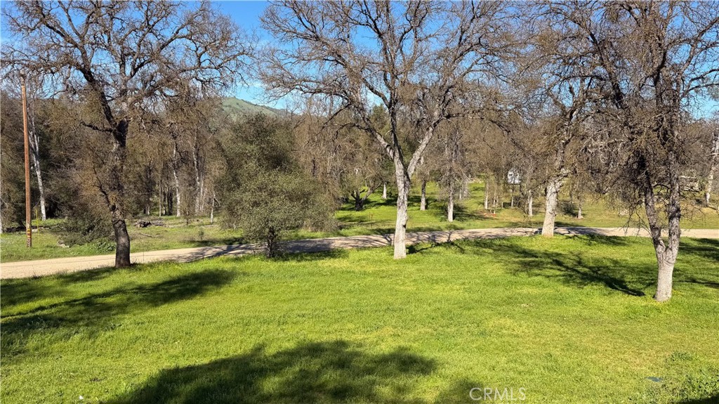 main property photo 43