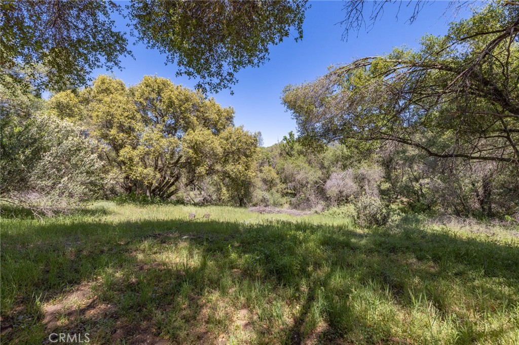 main property photo 62