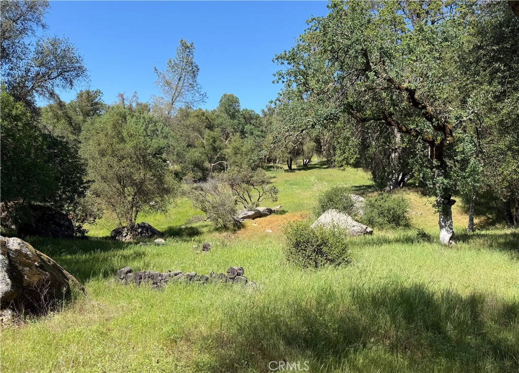 main property photo 55