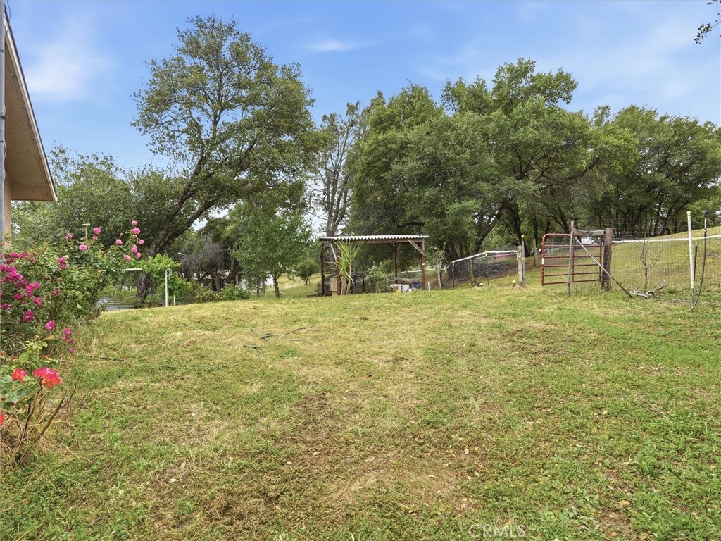 main property photo 32