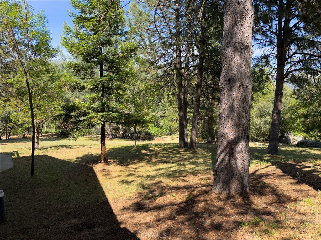 main property photo 63