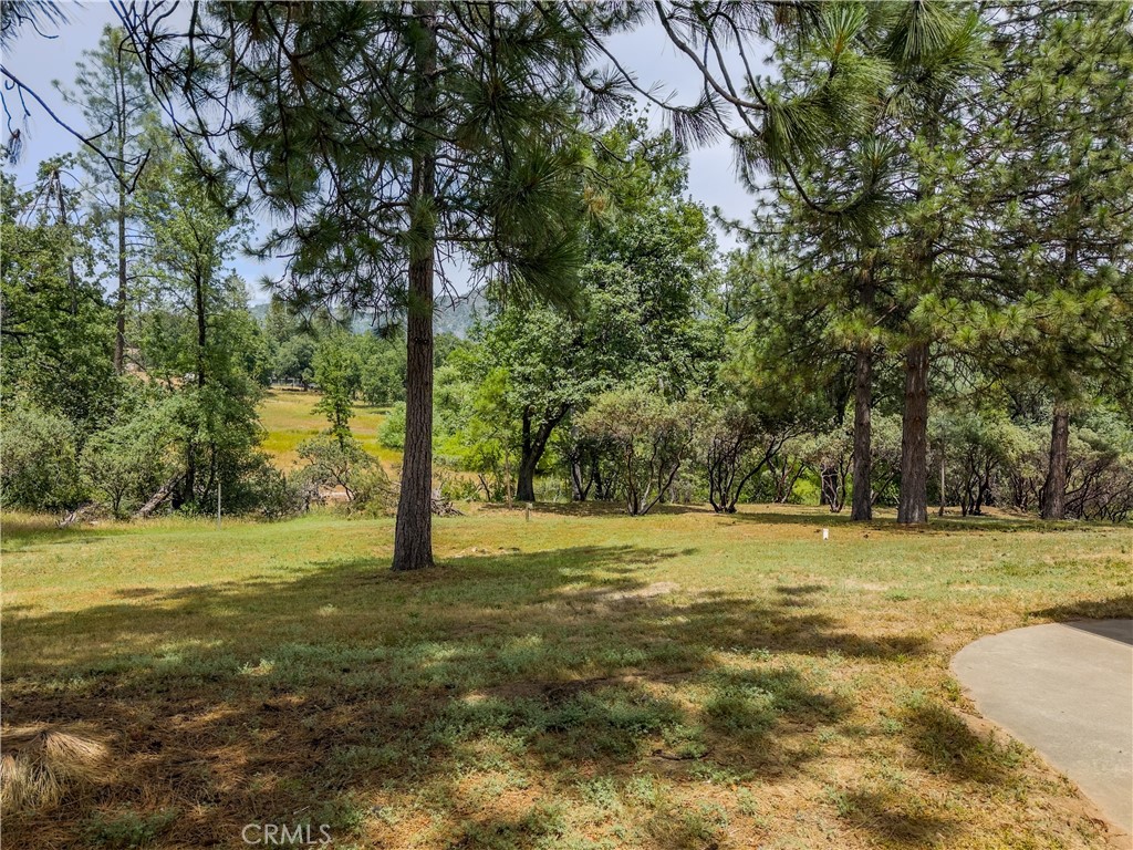 main property photo 64