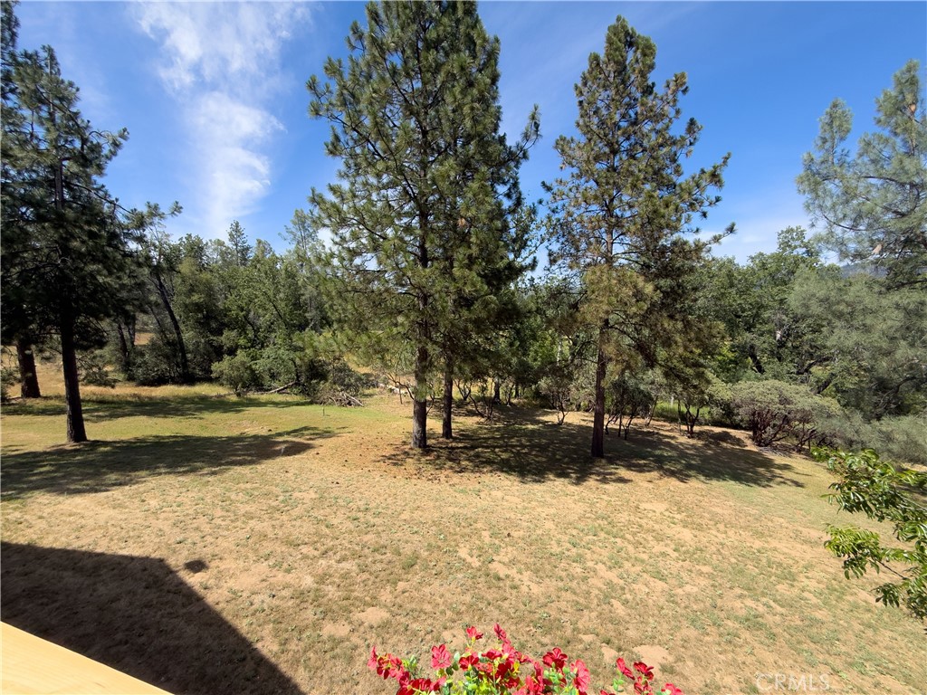 main property photo 66