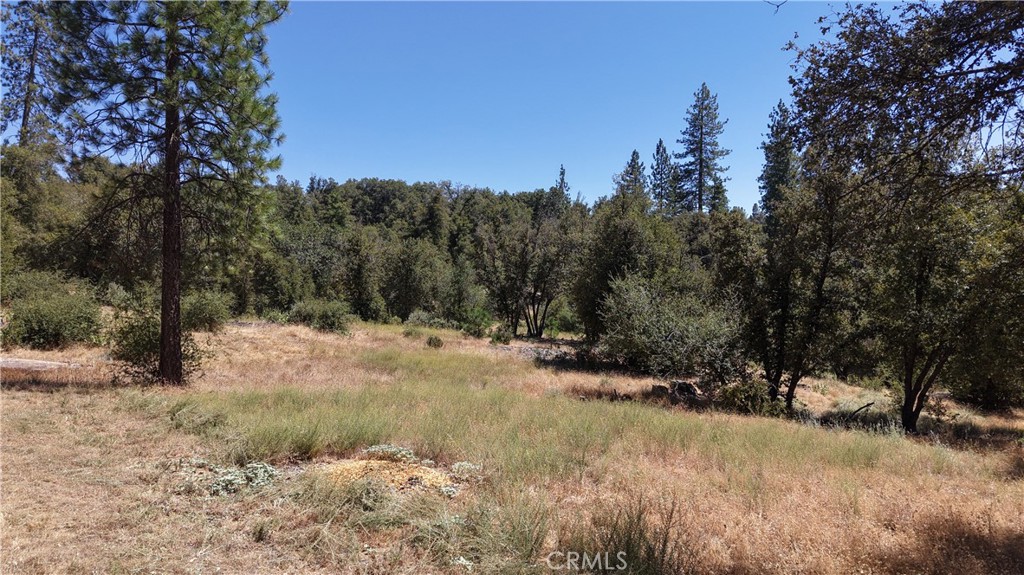 main property photo 49