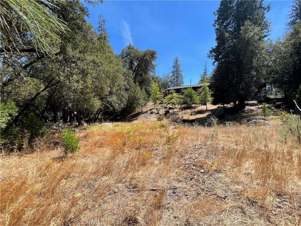 main property photo 37