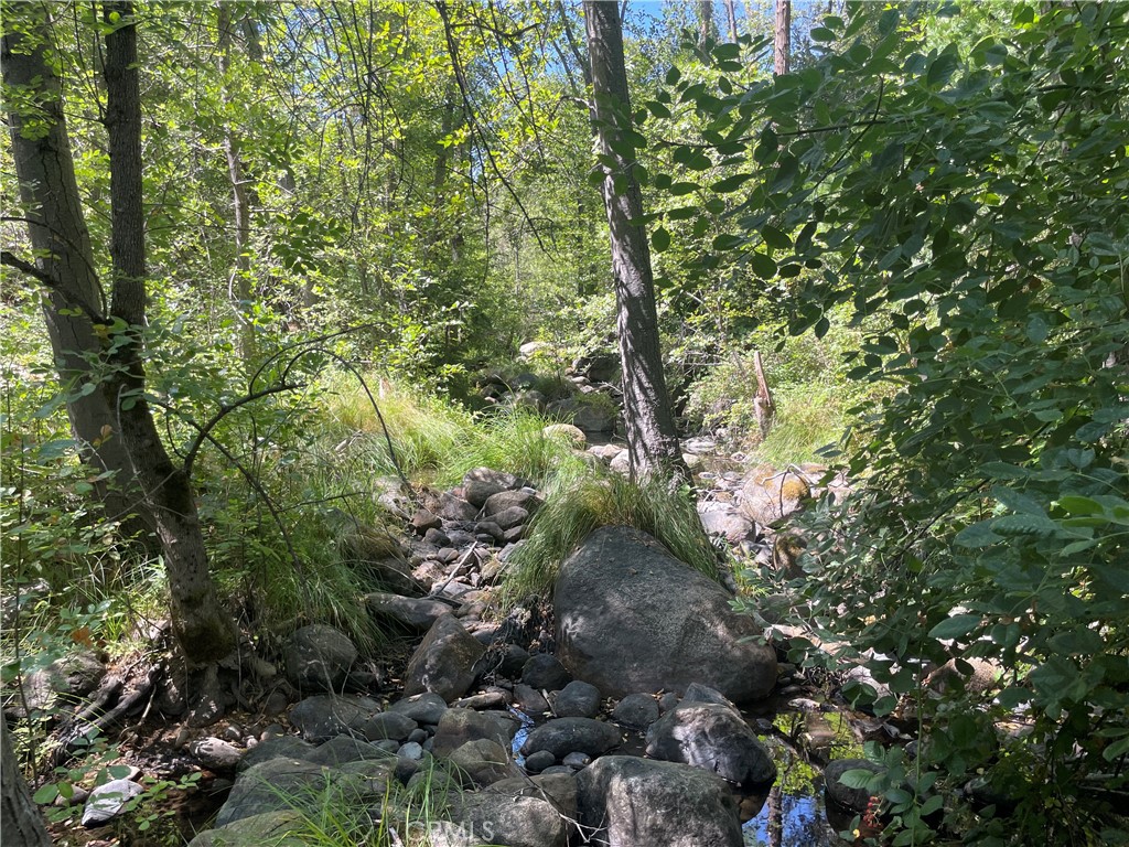 main property photo 44
