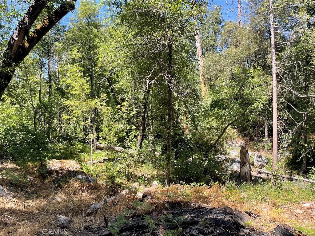 main property photo 48