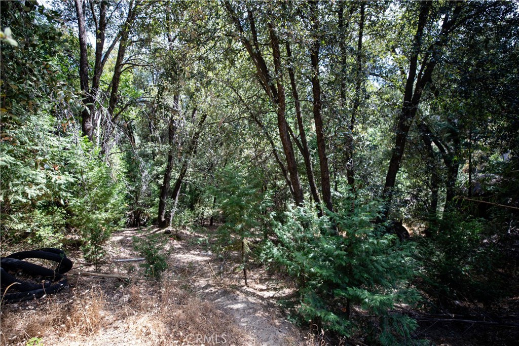 main property photo 15