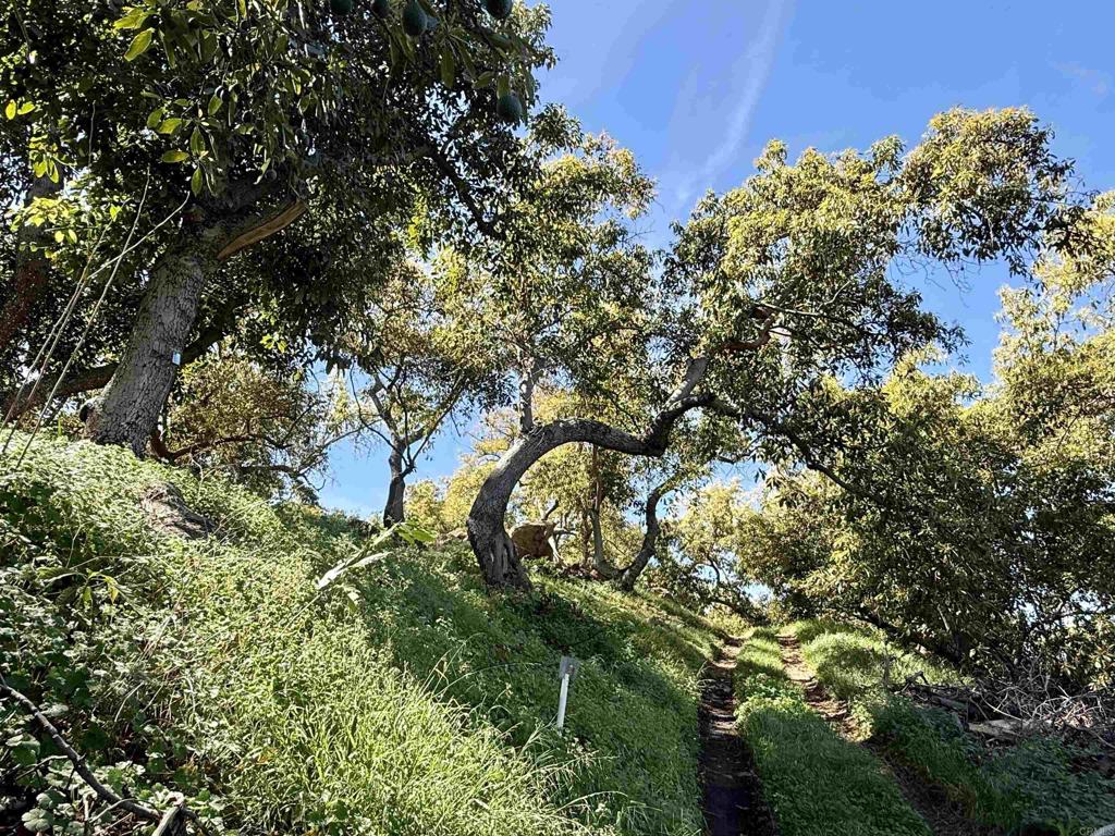main property photo 24