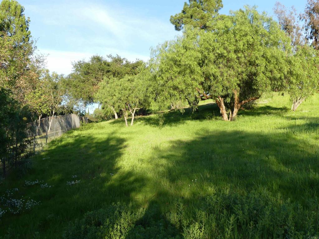 main property photo 39