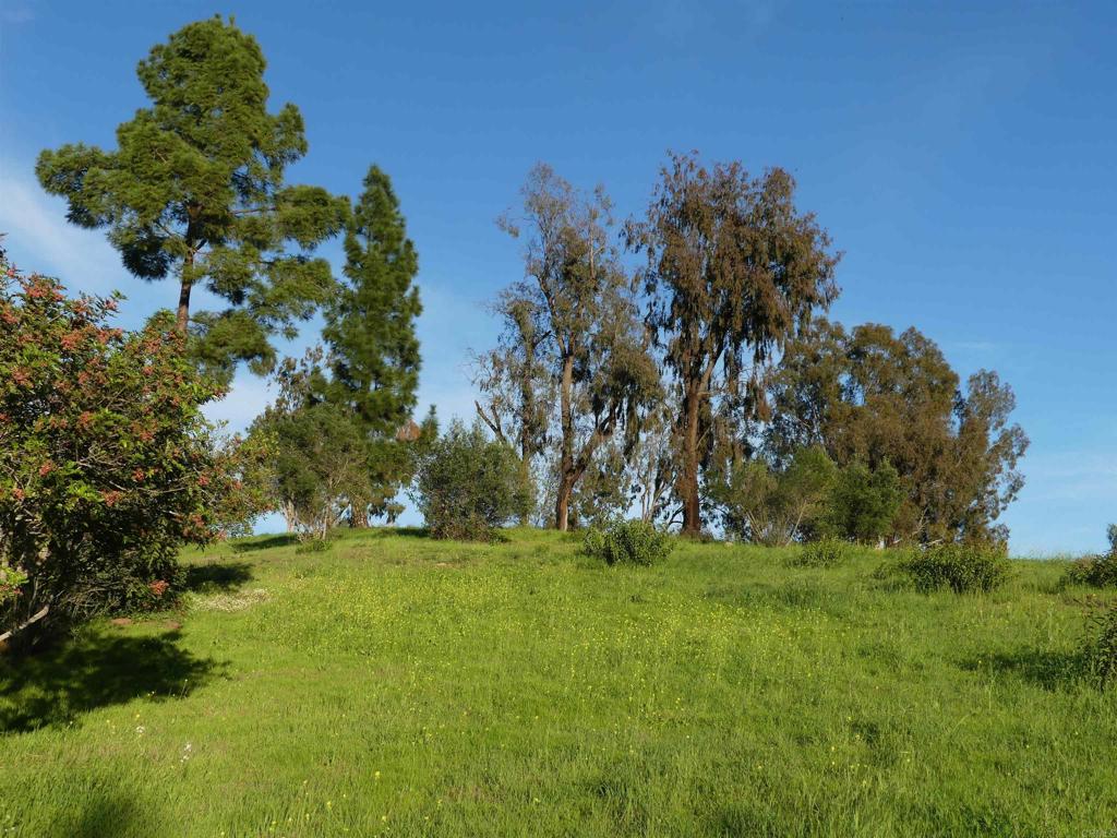 main property photo 40