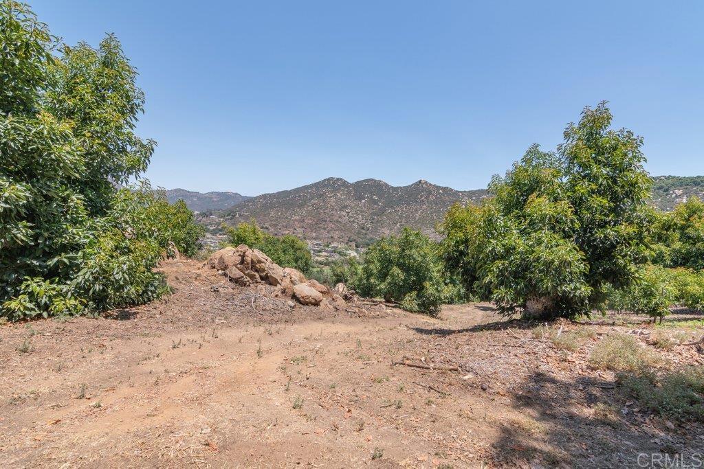 main property photo 44