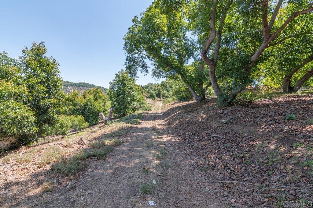 main property photo 45